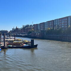 23-09-08 12-23-50 6465